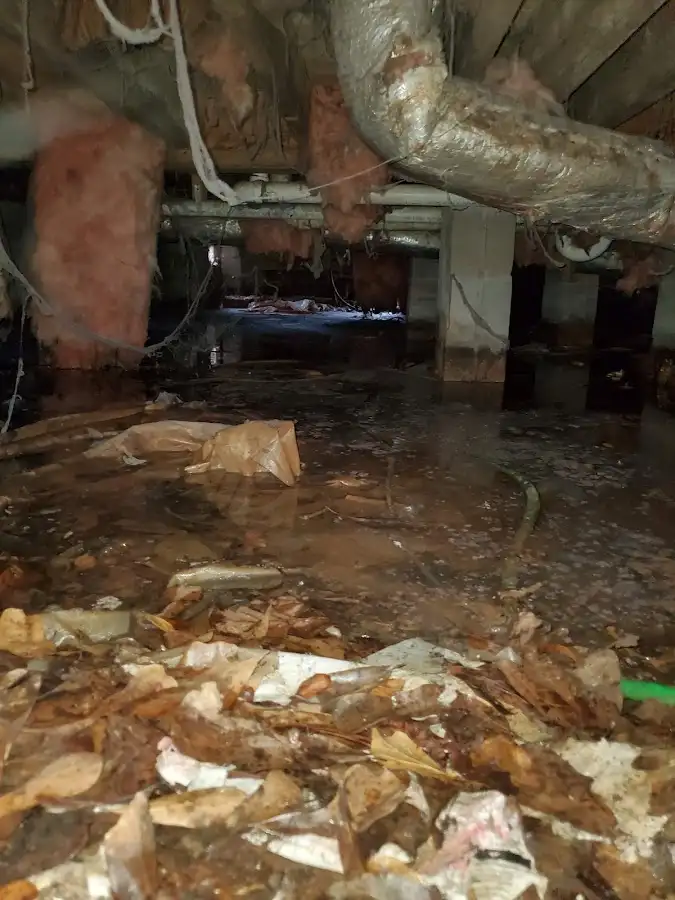 Crawl space flood assessment for Leak Detection & Repair in Big Bear City